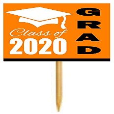 12pack Orange Graduation Party CUpcake Desert Appetizer Food Decoration Picks