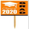 12pack Orange Graduation Party CUpcake Desert Appetizer Food Decoration Picks view 1