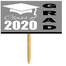 12pack Grey Graduation Party CUpcake Desert Appetizer Food Decoration Picks