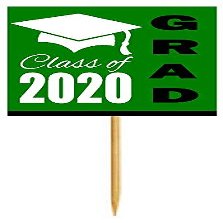 12pack Green Graduation Party CUpcake Desert Appetizer Food Decoration Picks
