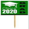 12pack Green Graduation Party CUpcake Desert Appetizer Food Decoration Picks view 1