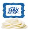 12pack Best Day Ever Blue Plaid Cupcake Desert Appetizer Food Picks for Weddings, Birthdays, Baby Showers, Events & Parties view 1