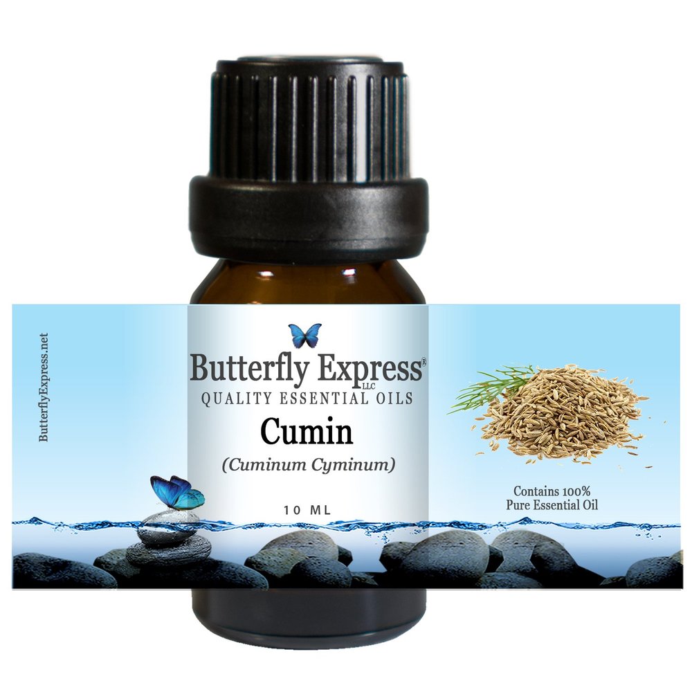 Cumin Essential Oil 10ml - 100% Pure by Butterfly Express