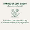 Traditional Medicinals Organic, Dandelion Leaf & Root - Dandelion Root Tea, Supports Normal Detox + Digestion - Kosher, Non-GMO, Caffeine-Free, Compostable - 16 Tea Bags view 3