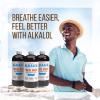 Alkalol Solution Original Nasal Wash, 16 fl oz (pack of 3) view 3