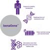 AOR, benaGene, Supports Healthy Aging, Energy and Longevity, Dietary Supplement, 30 servings (30 capsules) view 3