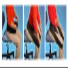 Nada-Chair Dr. Toso's Back Rx Portable Back Support Belt for Posture Improvement - One Size Fits All view 3