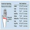 Comfort Cool Thumb CMC Restriction Splint, Provides Direct Support For The Thumb CMC Joint While Allowing Full Finger Function, Right Hand, Medium Plus view 3