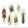 Cavallini Papers & Co., Inc. Christmas Bontanica Glittered Gift Tag Set view 2
