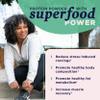 Ancient Nutrition Plant Based Protein Powder, Plant Protein+, Chocolate, Organic Vegan Superfoods Supplement, 15g Protein Per Serving, Gluten Free, Paleo Friendly 12 Serving view 3