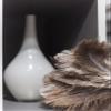 Avian Ostrich Feather Duster with Bamboo Handle view 2