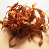 Men's - Sandalwood Pheromone Aroma Ice view 3