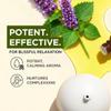 Gya Labs Patchouli Essential Oil - 0.34 Fl Oz - for Hair, Skin, Diffuser, Aromatherapy & DIY Candle Making Scent view 3
