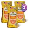 Jumbo Golden Seedless Raisins 3 15 oz. Canisters view 1