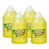 Best Maid Dill Juice 1 Gal (128 Fl Oz (Pack of 4)) view 1