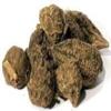 Bulk Herbs: High John the Conqueror Root 1 oz view 1
