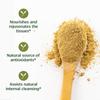 Banyan Botanicals Triphala Powder - Organic Digestion Supplement with Amla, Haritaki & Bibhitaki  Digestion, Colon Support & Healthy Gut Microbiome*  1/2 lb  Non-GMO Sustainably Sourced Vegan view 2