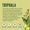 Banyan Botanicals Triphala Powder - Organic Digestion Supplement with Amla, Haritaki & Bibhitaki  Digestion, Colon Support & Healthy Gut Microbiome*  1/2 lb  Non-GMO Sustainably Sourced Vegan view 3