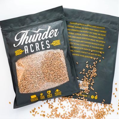 10lb Kansas Wheat, Wheat Seed, Cat Grass, Wheat Grass