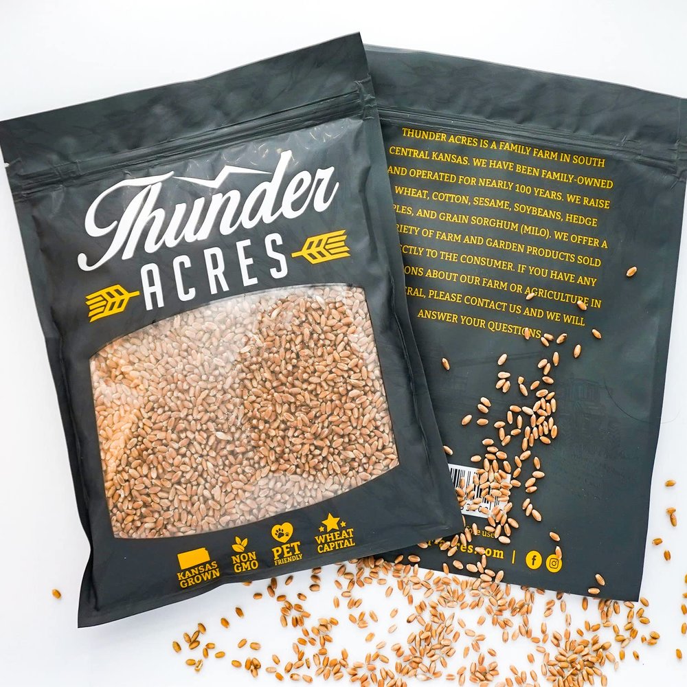 10lb Kansas Wheat, Wheat Seed, Cat Grass, Wheat Grass