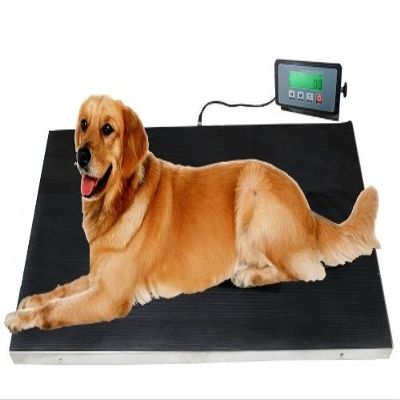 Heavy Duty 660 Pounds Veterinary Dog Scale with Stainless Steel Platform and Rubber Mat for Dog Cat Pet Alpaca Llama Sheep Fish Vet