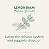 Traditional Medicinals - Organic Lemon Balm Herbal Tea (6 Pack) - Stress Relief & Supports Digestion - 96 Tea Bags Total view 3