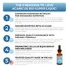 Agaricus Bio Super Liquid, Organic Blazei Mushroom Extract Tincture, Fruiting Body Beta-Glucan Drops for Natural Killer Cell Activity, Liquid Mushroom Supplement for Liver and Immune Support, 30 ml view 2