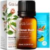 Gya Labs Clove Essential Oil - 0.34 Fl Oz - for Hair, Skin, Diffuser, Aromatherapy & DIY Candle Making Scent view 1