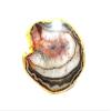Jet Gold Plated Agate Slice Coaster Single (1) Piece 4 inch Approx. Good Luck Happy Home Gemstone Saucer Geode Stone Cup Holder Table Decoration Home Jet International Image is JUST A Reference view 1