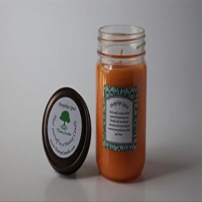 12 oz Pumpkin Spice soy wax candle