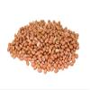 Aiva Raw Spanish Peanuts (10 LB Case) Bulk  Whole Unsalted Peanuts for Snacking, Cooking, and Baking | Product of USA | Spanish Premium Grade view 3