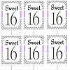 12pack Sweet 16 Birthday Cupcake Decoration Picks - Lavender Polka Dot view 1