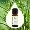 Plant Therapy Rosemary Essential Oil for Hair Growth, 100% Pure, Undiluted, Natural Aromatherapy for Diffuser & Rosemary Oil for Hair & Scalp, Therapeutic Grade 10 mL (1/3 oz) view 3
