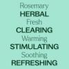Plant Therapy Rosemary Essential Oil for Hair Growth, 100% Pure, Undiluted, Natural Aromatherapy for Diffuser & Rosemary Oil for Hair & Scalp, Therapeutic Grade 10 mL (1/3 oz) view 4