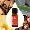 Plant Therapy Germ Fighter Essential Oil Blend Pure, Natural Aromatherapy, for Diffusion & Topical Use, DIY Multi-Surface Cleaner, Hand Cleanser, Home or Office Use, Therapeutic Grade 10 mL (1/3 oz) view 3