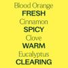 Plant Therapy Germ Fighter Essential Oil Blend Pure, Natural Aromatherapy, for Diffusion & Topical Use, DIY Multi-Surface Cleaner, Hand Cleanser, Home or Office Use, Therapeutic Grade 10 mL (1/3 oz) view 4