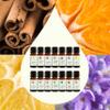 Plant Therapy Top 14 Essential Oil Set, 10 mL (1/3 oz) Bottles of Lavender, Eucalyptus, Peppermint, Orange Sweet, Lemon & More, 100% Pure, Undiluted, for Topical Use & Essential Oil Diffusers view 3