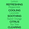 Plant Therapy Top 14 Essential Oil Set, 10 mL (1/3 oz) Bottles of Lavender, Eucalyptus, Peppermint, Orange Sweet, Lemon & More, 100% Pure, Undiluted, for Topical Use & Essential Oil Diffusers view 4