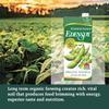 Edensoy Unsweetened Eden Organic Soymilk, Non-GMO, USA Whole Soy (Soya) Milk, Non-Dairy, Vegan, Plain, Shelf Stable, 32 oz (6-Pack) view 4