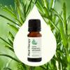 Plant Therapy Organic Rosemary Essential Oil 100% Pure, USDA Certified Organic, Undiluted, Natural Aromatherapy, Therapeutic Grade 10 mL (1/3 oz) view 3