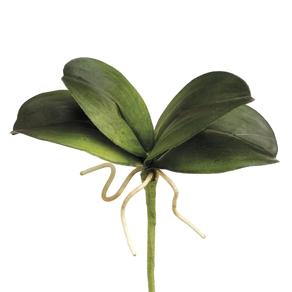 8" Mini Phalaenopsis Orchid Leaf Plant Green (Pack of 12)
