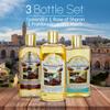 Bible Lands Treasure Anointing Oil for Prayer, Set of 3: Spikenard, Rose of Sharon, Myrrh & Frankincense, Blessing oil of Gladness, 250 ml view 2