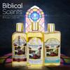 Bible Lands Treasure Anointing Oil for Prayer, Set of 3: Spikenard, Rose of Sharon, Myrrh & Frankincense, Blessing oil of Gladness, 250 ml view 3