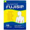 30 Packs x 5 Patches FUJISIP Herbal Patch Sheng Chun Cao dan Thao duoc Giam Dau Tatra view 2