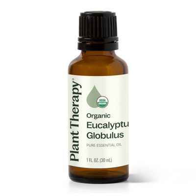 Plant Therapy Organic Eucalyptus Globulus Essential Oils 30 mL (1 oz), 100% Pure, USDA Certified Organic, Undiluted, Natural Aromatherapy for Respiratory Support & Focus