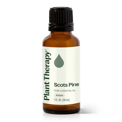 Plant Therapy Scots Pine Essential Oil 30 mL (1 oz) 100% Pure, Undiluted, Therapeutic Grade
