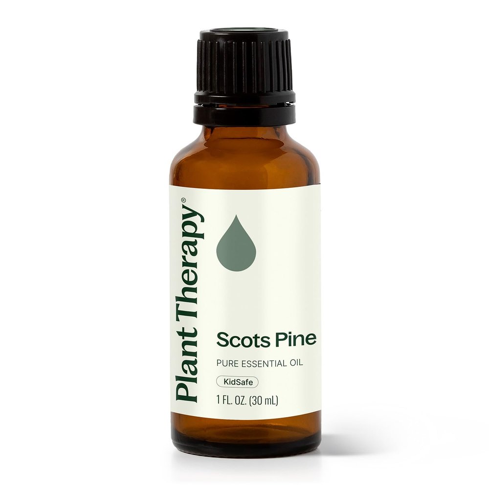 Plant Therapy Scots Pine Essential Oil 30 mL (1 oz) 100% Pure, Undiluted, Therapeutic Grade
