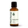 Plant Therapy Scots Pine Essential Oil 30 mL (1 oz) 100% Pure, Undiluted, Therapeutic Grade view 1