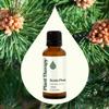 Plant Therapy Scots Pine Essential Oil 30 mL (1 oz) 100% Pure, Undiluted, Therapeutic Grade view 3