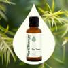Plant Therapy Tea Tree Essential Oil 100% Pure, Undiluted, Natural Aromatherapy, Therapeutic Grade 30 mL (1 oz) view 3